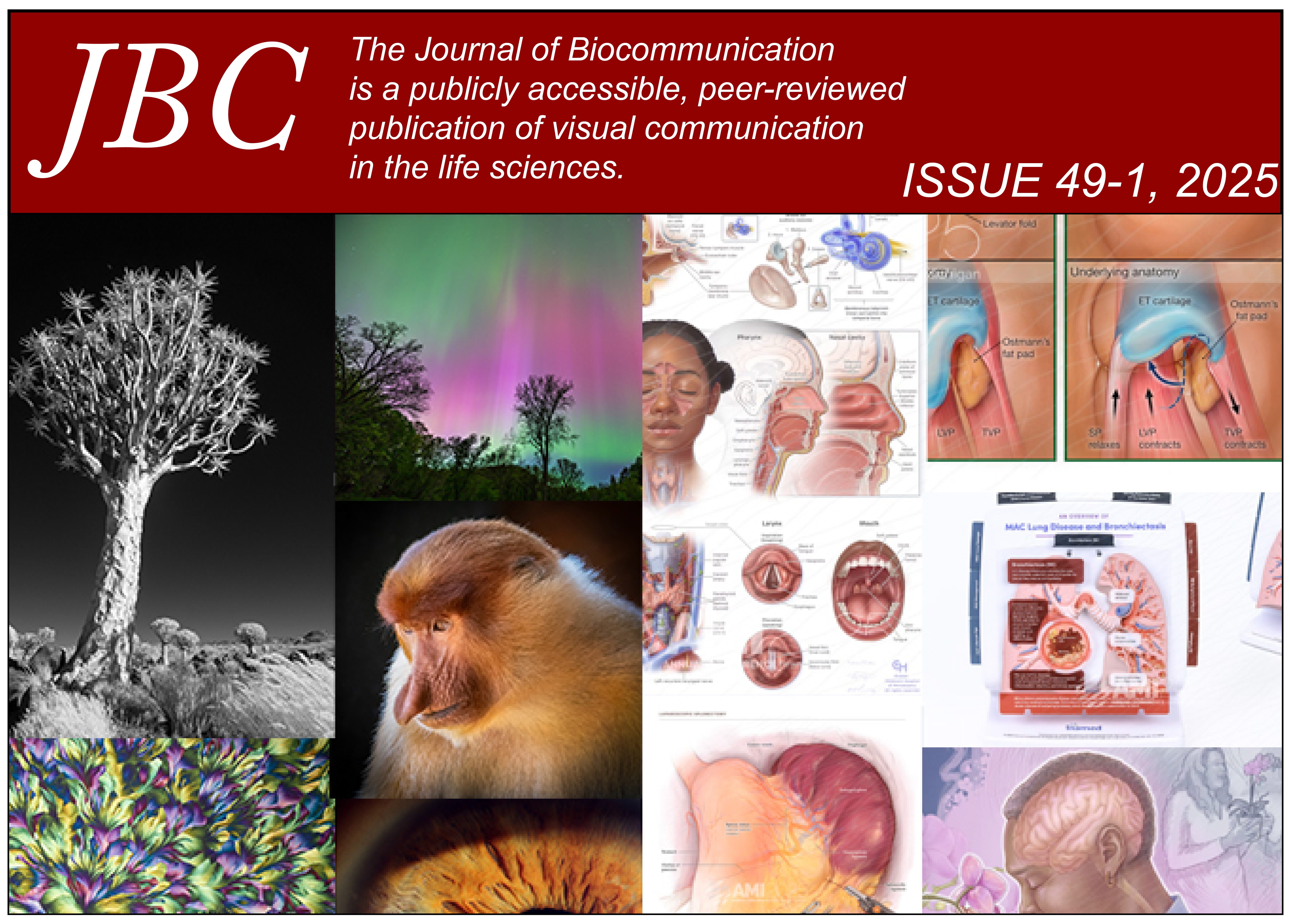 Cover graphic for the issue