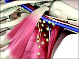 sample complex image presented to surgeon participants